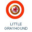 Little Grayhound